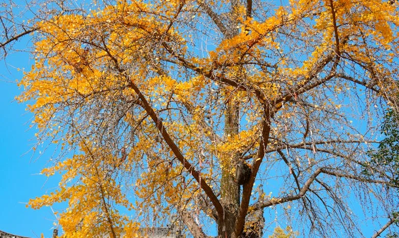 Polovina domu pro polovičního bratra: Otcovo rozhodnutí, které mi zlomilo srdce
