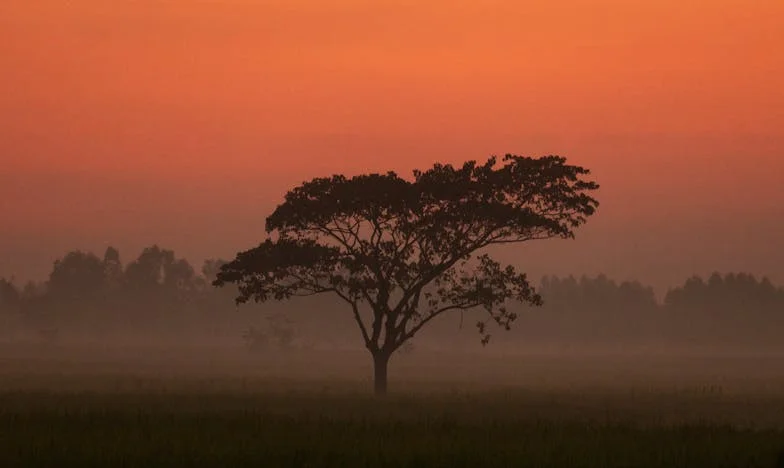 Rok zlomu: Jak otcovo rozhodnutí roztrhalo naši rodinu