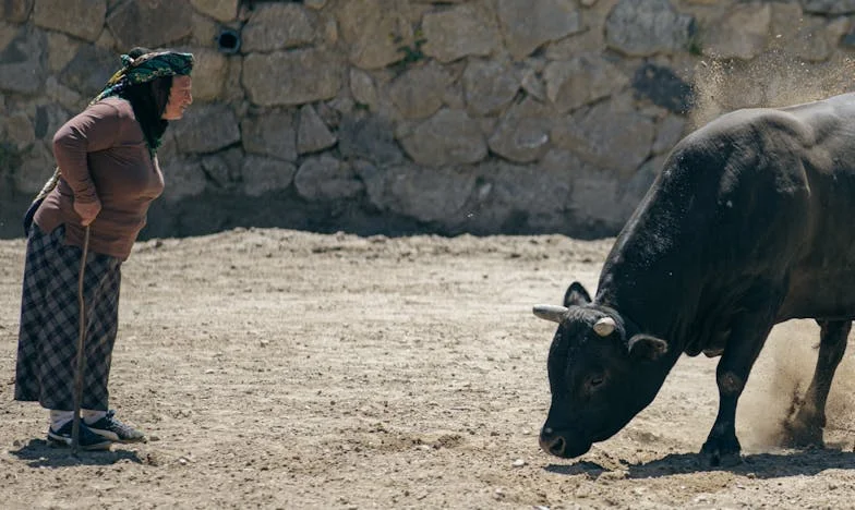 Šedesátiny v prázdném bytě: Když ani vlastní rodina nestačí
