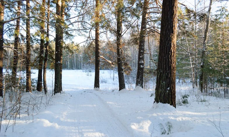 Stín nad naší rodinou: Když se pochybnost usadí mezi námi