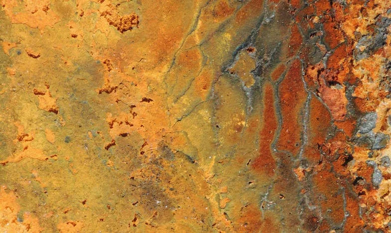 Tajná svatba v Brně: Pravda, která roztrhla naši rodinu