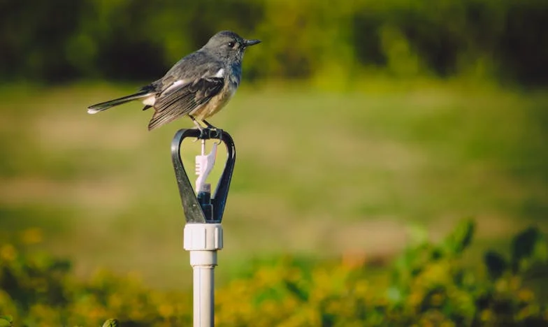 Tchyně, káva a zamčené dveře: Jak jeden ranní konflikt změnil naši rodinu