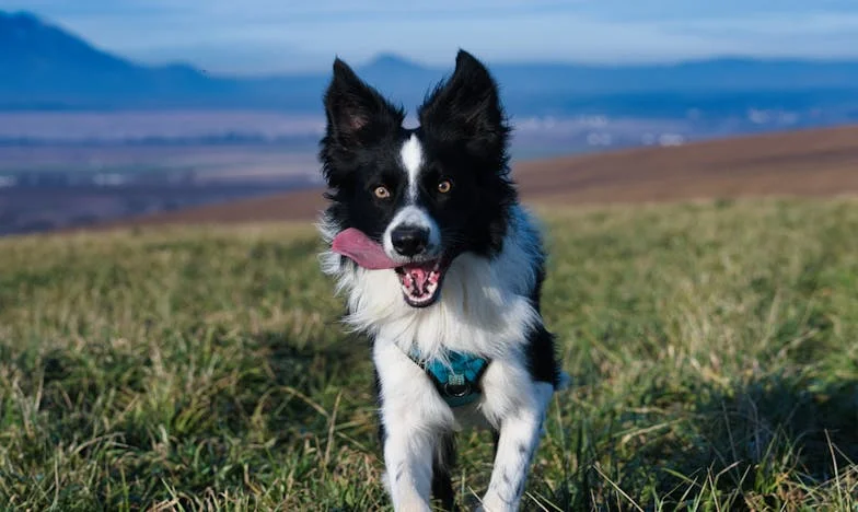 Tchyně za mými dveřmi: Mám právo na vlastní prostor?