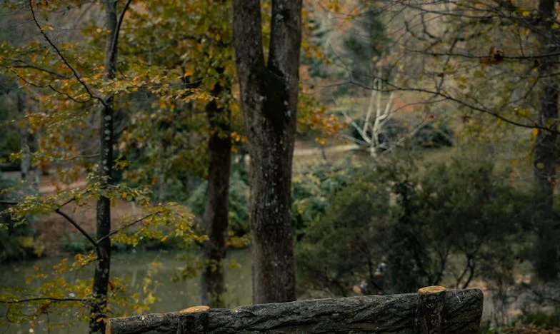 „Tohle je taky můj domov!” – Ráno, kdy se všechno změnilo