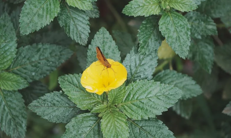 Vyhodili mě z domu, když jsem otěhotněla. Po deseti letech stáli rodiče u mých dveří a prosili o pomoc.