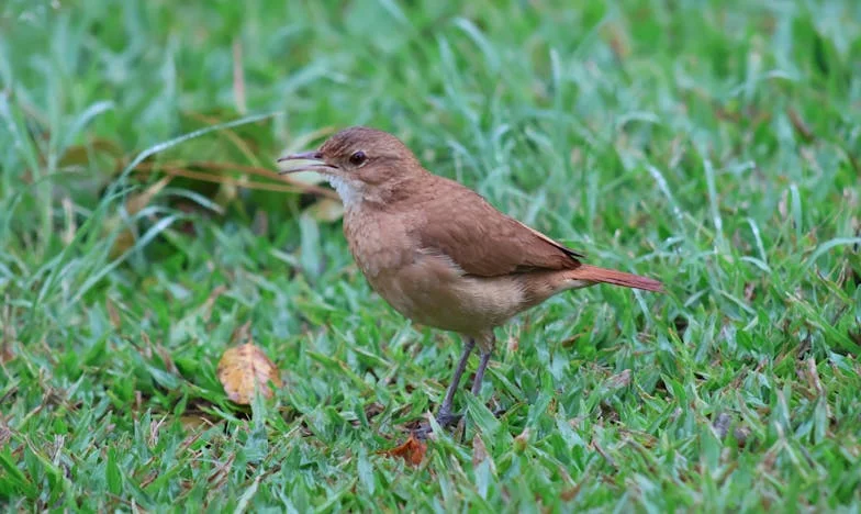 „Zbal si věci a přijď k nám!” – Jak moje tchyně rozbila naše manželství po narození syna