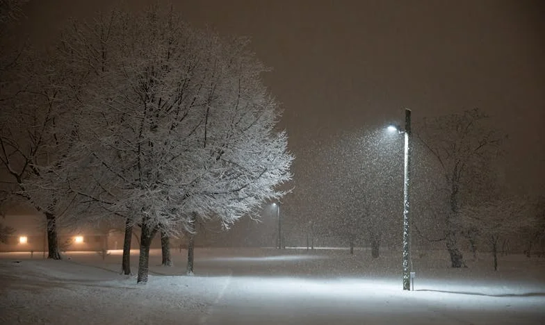 Zmizelé pravdy: Matka, která neznala svého syna