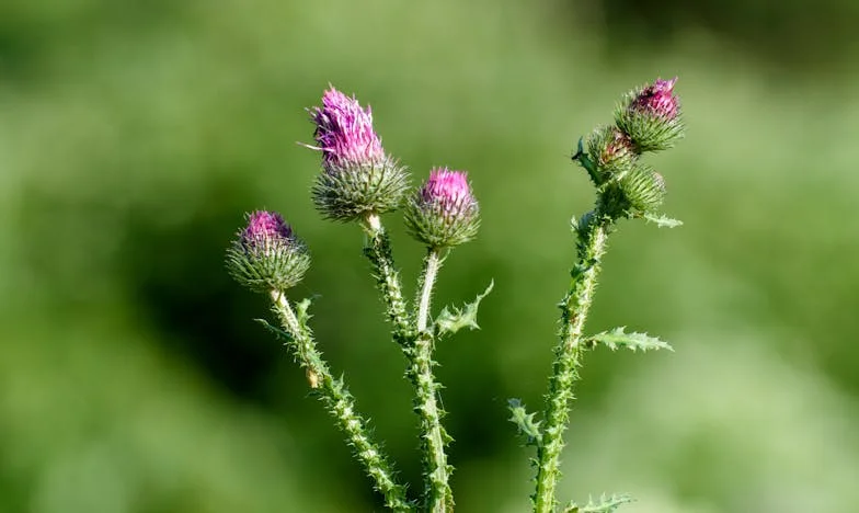 Ztracené náušnice – Příběh rodinné zrady, kterou bych nikdy nečekala
