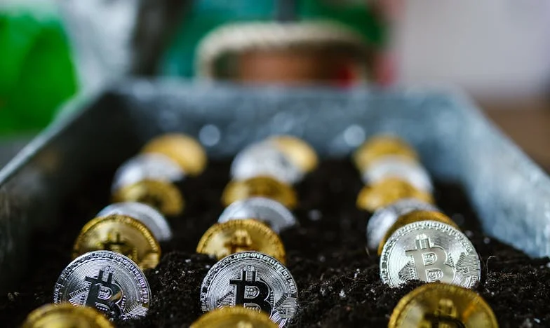 Den, kdy jsem neotevřel dveře svým vnoučatům: Příběh o lásce, vyčerpání a vině