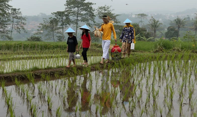 Dům, který mi nikdy nepatřil: Příběh o rodině, domově a zradě