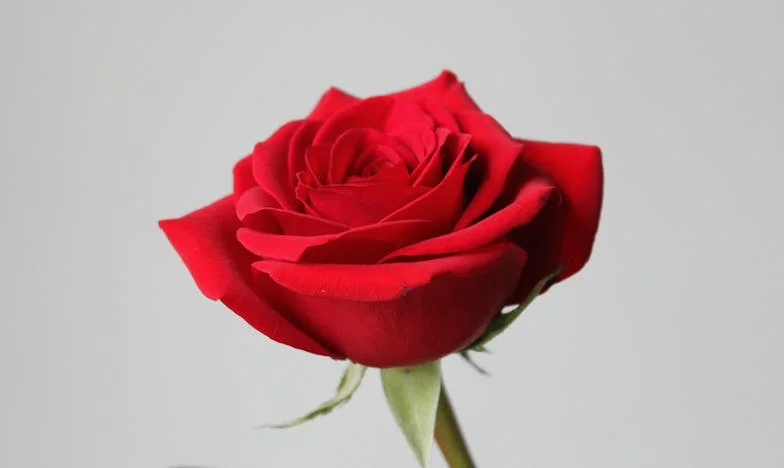 Jak jsem se osvobodila z toxického vztahu s lenivým Petrem: Můj příběh odvahy a nového začátku