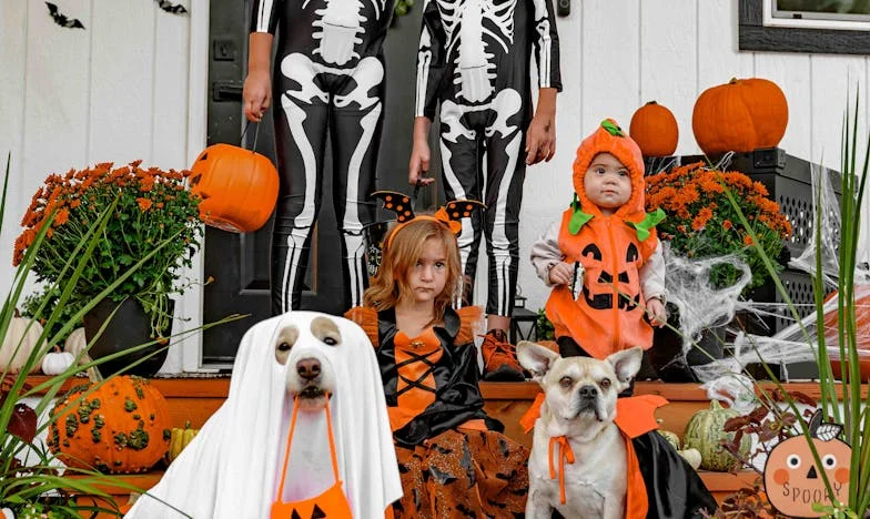 Jedna účtenka v koši: Cena důvěry v české rodině