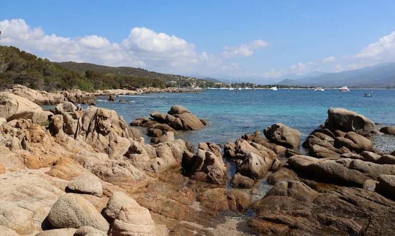 Jméno, které nesmíme zapomenout: Bitva za rodinnou tradici v srdci naší rodiny