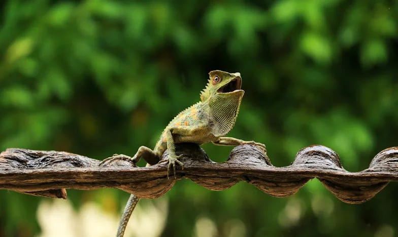 Když slzy znamenají sílu: Můj boj o respekt v manželství s Martinem