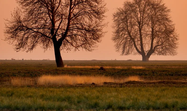 Když srdce zchladne: Můj tichý boj s koncem lásky v české rodině
