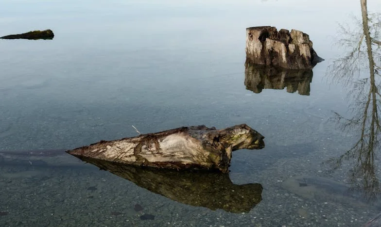 Moje dcera mi každý měsíc posílá peníze: Prosí mě, abych to jejímu manželovi nikdy neřekla. Co byste dělali na mém místě?