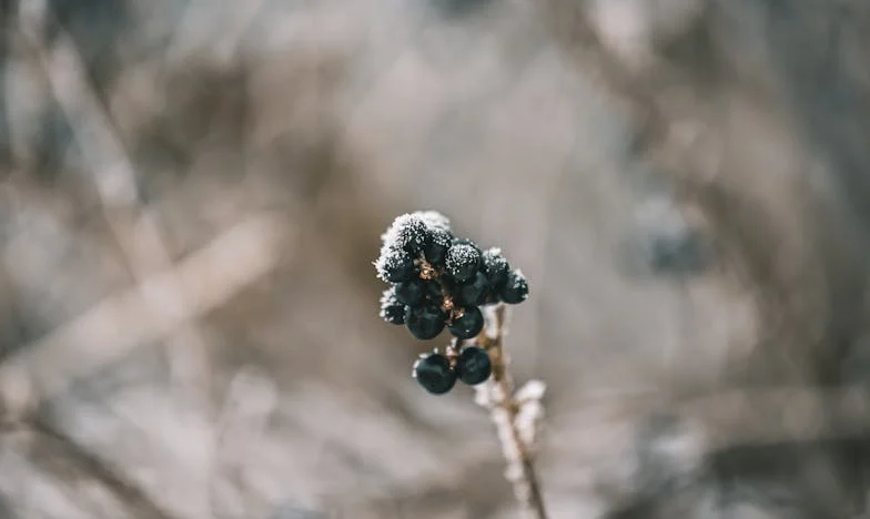 Můj byt není hotel: Jak jsem se naučila říkat „ne“ vlastní rodině