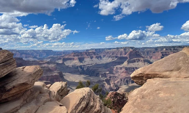 Nikdy jsem nebyla pozvaná na svatbu svého syna, ale teď ode mě čekají byt: Dvojí metr v mé vlastní rodině