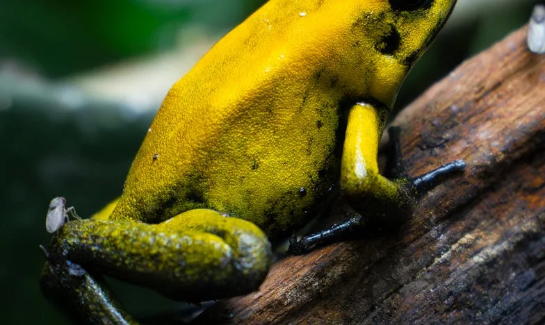 "Podepiš všechno na mě! Proč jsi jí věřila? Ona tě podvádí!" – Můj boj o domov, dceru a vlastní důstojnost po manželově zradě