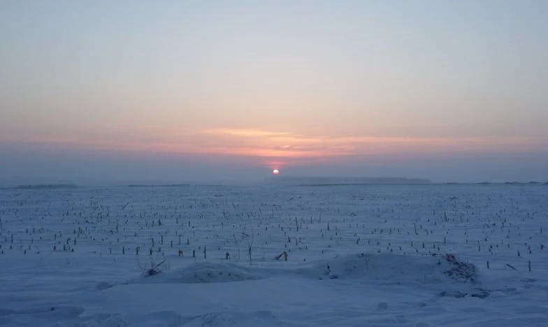 Tajemství, které roztrhalo naši rodinu: Může být štěstí postavené na lži?