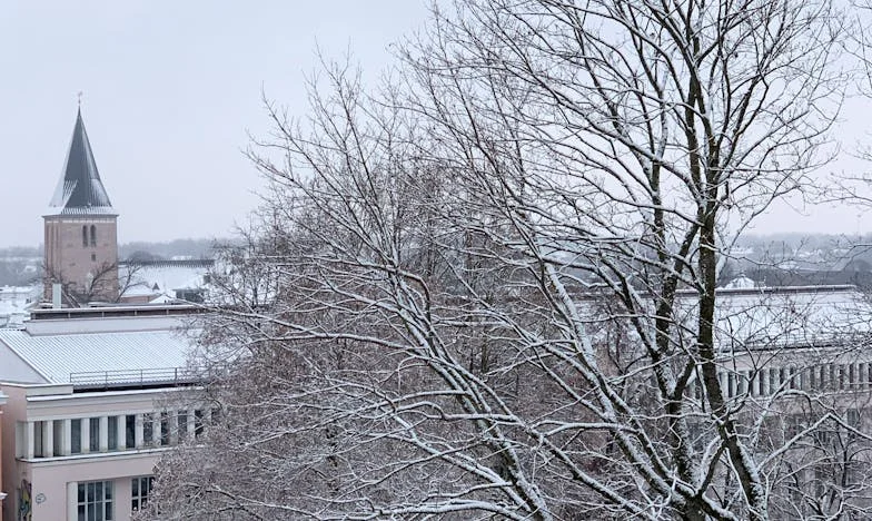 Ve stínu tchyně: Každodenní boj o vlastní místo v rodině