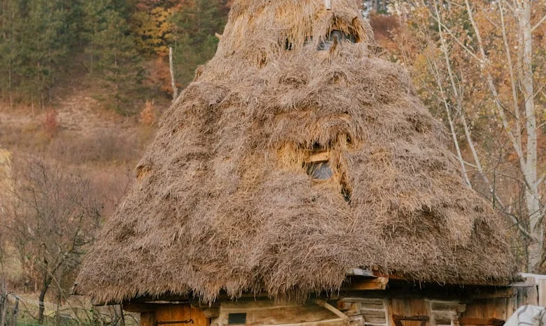 Když láska bolí: Příběh odvahy jedné české matky