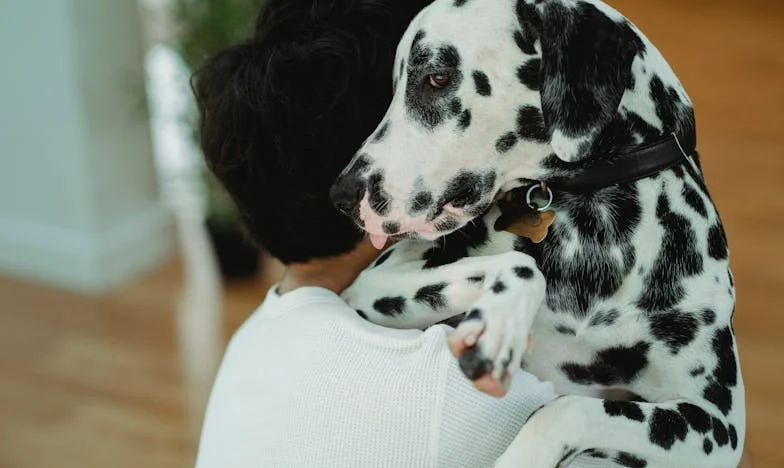 Můj manžel se po půl roce vrátil od kolegyně, jako by se nic nestalo. Otevřela jsem mu dveře v pyžamu a nevěděla, jestli ho pustit dál.