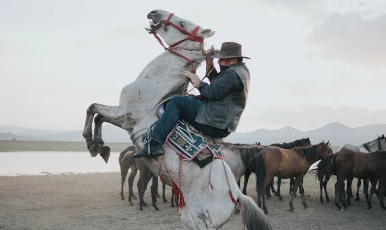 Nikdo mě nečekal, nikdo mě nehledal: Jak jsem díky divokému koni našla odvahu postavit se celému světu