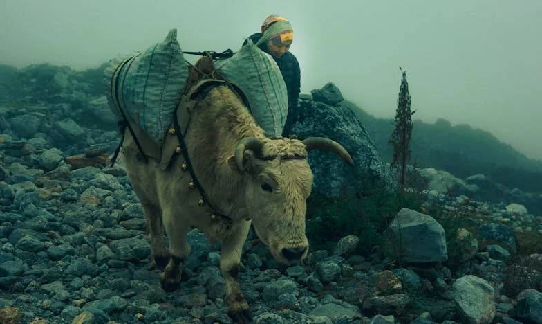 Přestala jsem dceři dávat peníze – teď nevidím vnuka. Byla jsem pro ni jen peněženka?