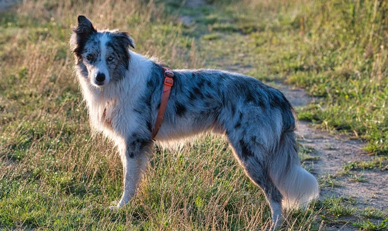 Mezi tichem a výkřikem: Příběh rodiny na hraně rozpadu