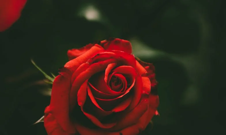 Můj manžel mě obvinil z nevěry a nechal mě samotnou s naším synem – už se nikdy neohlédl