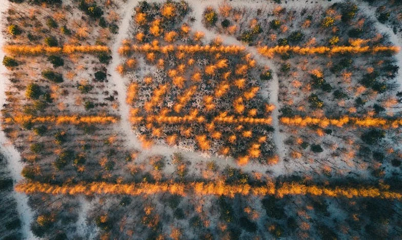 Můj manžel mě ponížil u stolu. Mlčela jsem, ale pak jsem udělala něco, co mu zůstane navždy v paměti…