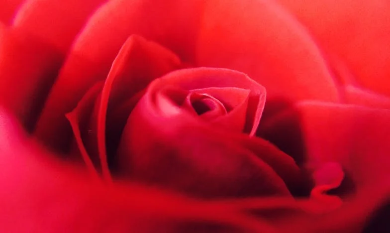 Po 25 letech manželství jsem zjistila, kdo zaujal mé místo. A byla to žena, kterou jsem znala až příliš dobře.