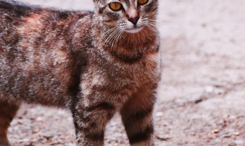 Ztráta a znovuzrození: Jak jsem se stala paní svého osudu – skutečný příběh české ženy