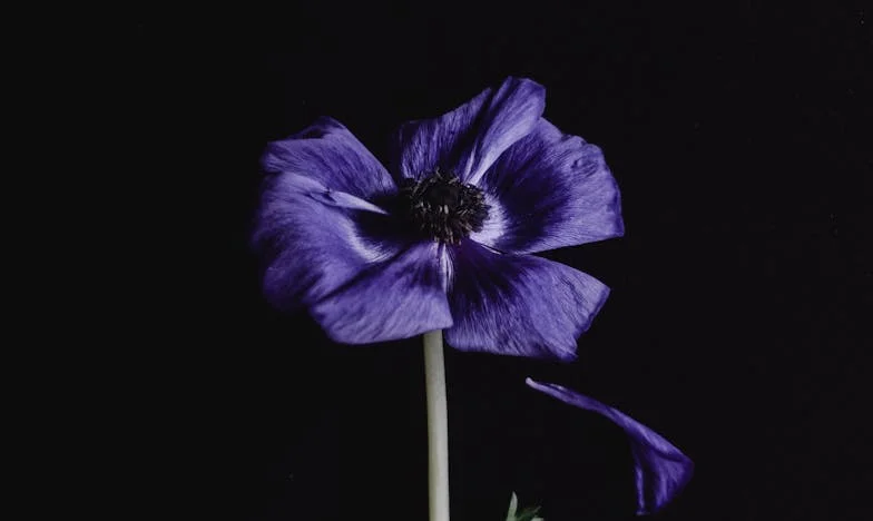 Naše tajné slovo: Noc, kdy mě moje dcera nejvíc potřebovala