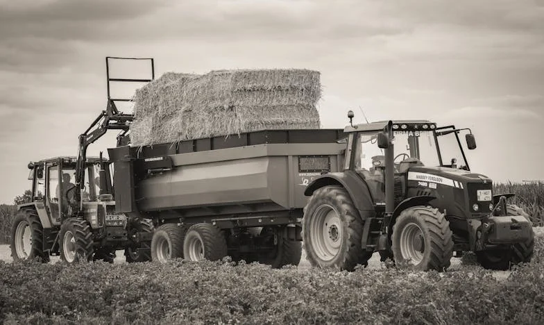 Přivedla jsem maminku domů, ale po měsíci jsem ji musela pustit. Všichni mě odsuzují, ale nikdo neví, co jsme prožili.