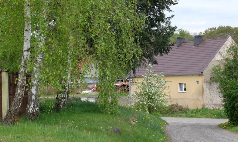 „Jestli to někdo přeloží, dám mu celou výplatu!” – Příběh Renaty, která změnila osud firmy i vlastní rodiny