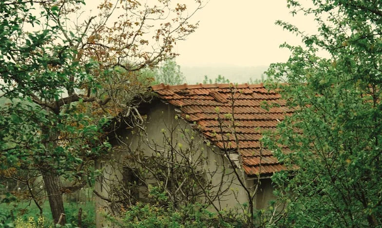Když se můj nevlastní bratr objevil půl roku po pohřbu – a sebral mi všechno