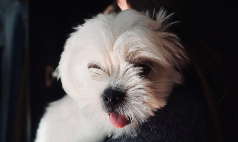 Když mi Berta strhla rukáv od kabátu a vytáhla mě z vlastního bytu: sestra, dům snů a cena důvěry