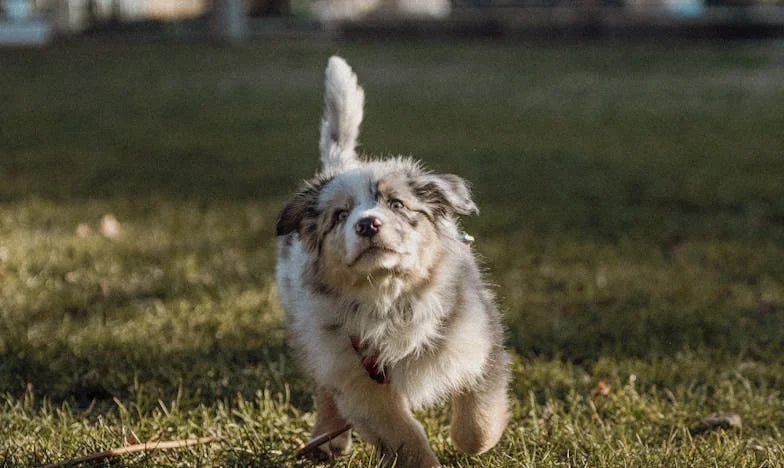 Jak mi tulák Artur změnil život uprostřed zimy na sídlišti v Ostravě