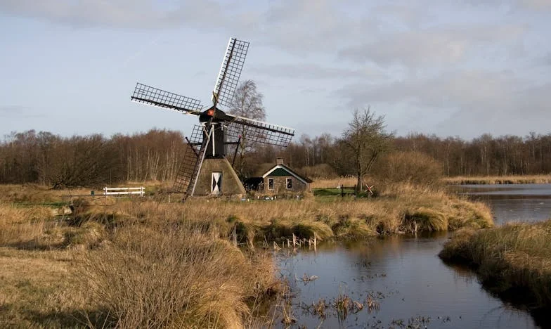 Můj syn, jeho vlasy a škola: Kde končí hranice učitelů?