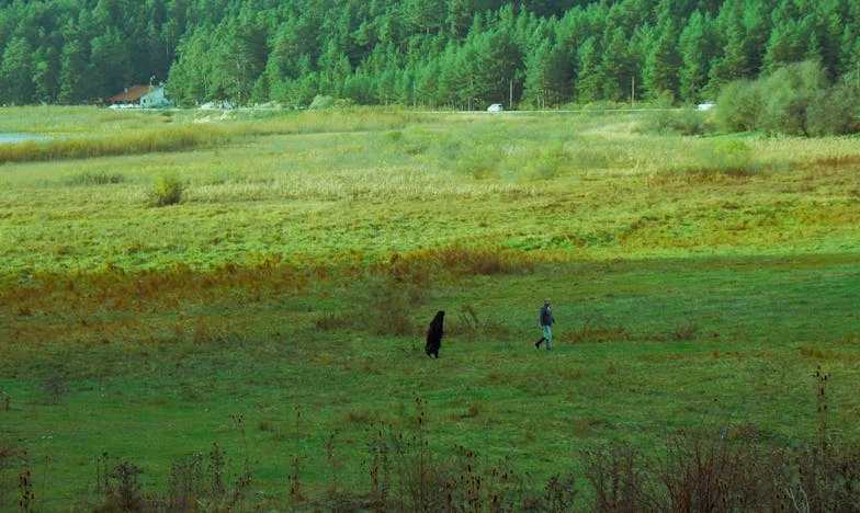 Nikdo nepřišel na mou obhajobu: Příběh o samotě, rodinných konfliktech a hranicích, které jsem musela postavit