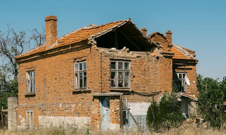 Nový začátek: Jak jsem našel domov, když už nikdo nevěřil