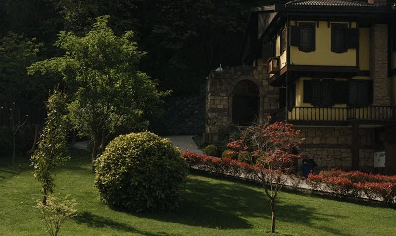 Odmítla jsem otci ledvinu – jsem špatná dcera? Můj příběh o vině, násilí a těžkých rozhodnutích