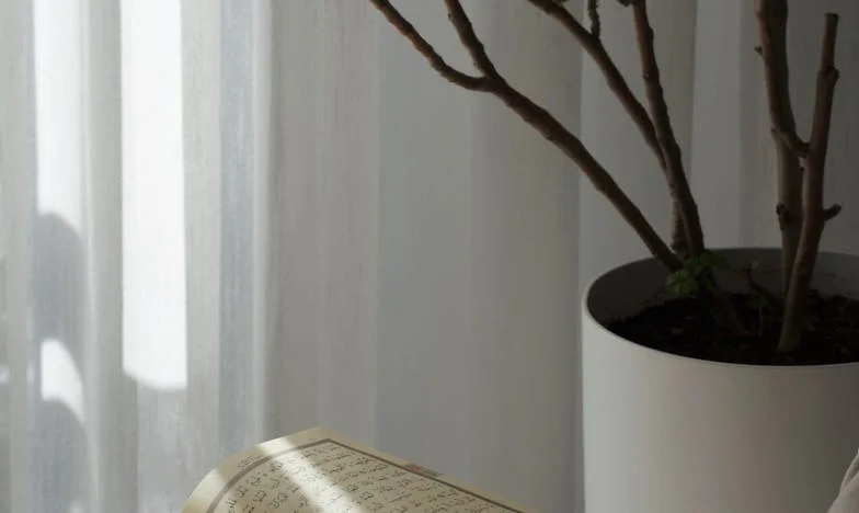 Бабо, прости ми, че те забравих