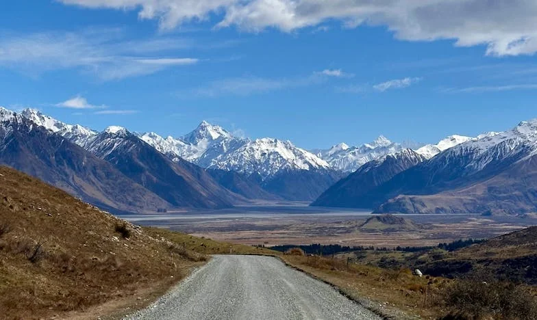 Когато всички си тръгнаха: Историята на Вера и нейния син Никола