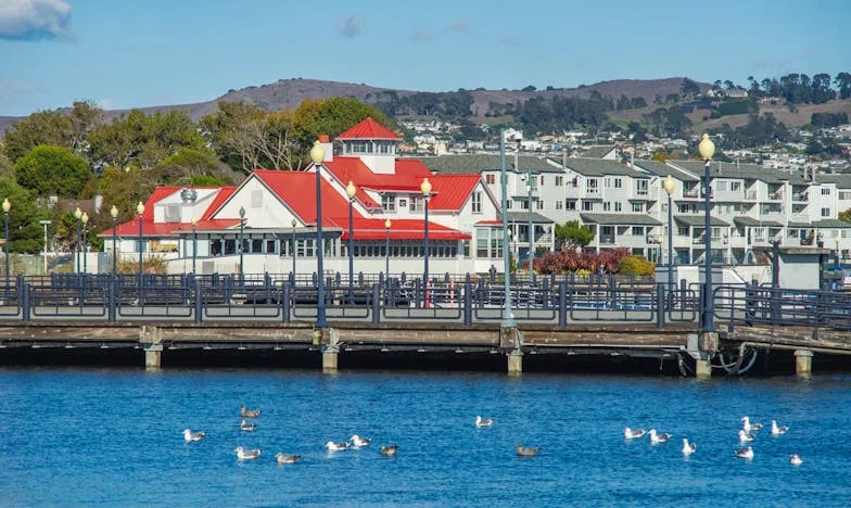 Моята свекърва и неочакваният ѝ избор: Истината, която разтърси семейството ни