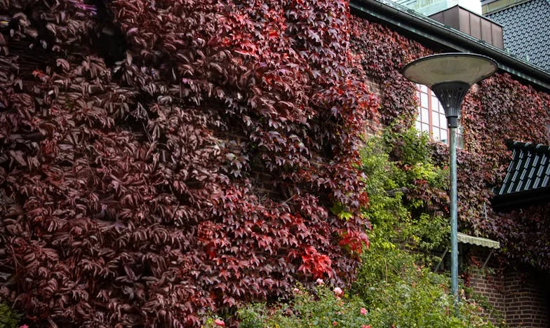 Не бях достатъчно добра: История за любов и предразсъдъци