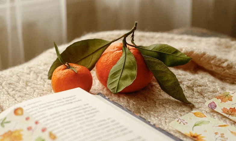 Писмото под покривката: Семейната тайна, която преобърна живота ми