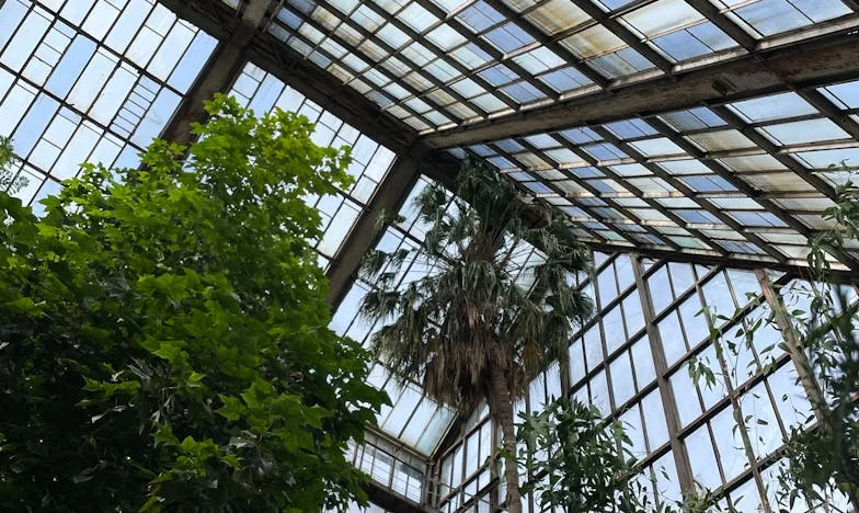 Празник за Калоян: История за майчина обич и смелостта да бъдеш себе си